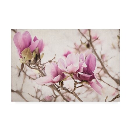 Trademark Fine Art Elizabeth Urquhart 'Spring Is In The Air Iii' Canvas Art, 12x19 WAP09914-C1219GG